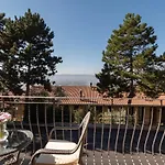 La Pineta