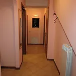 La Pineta